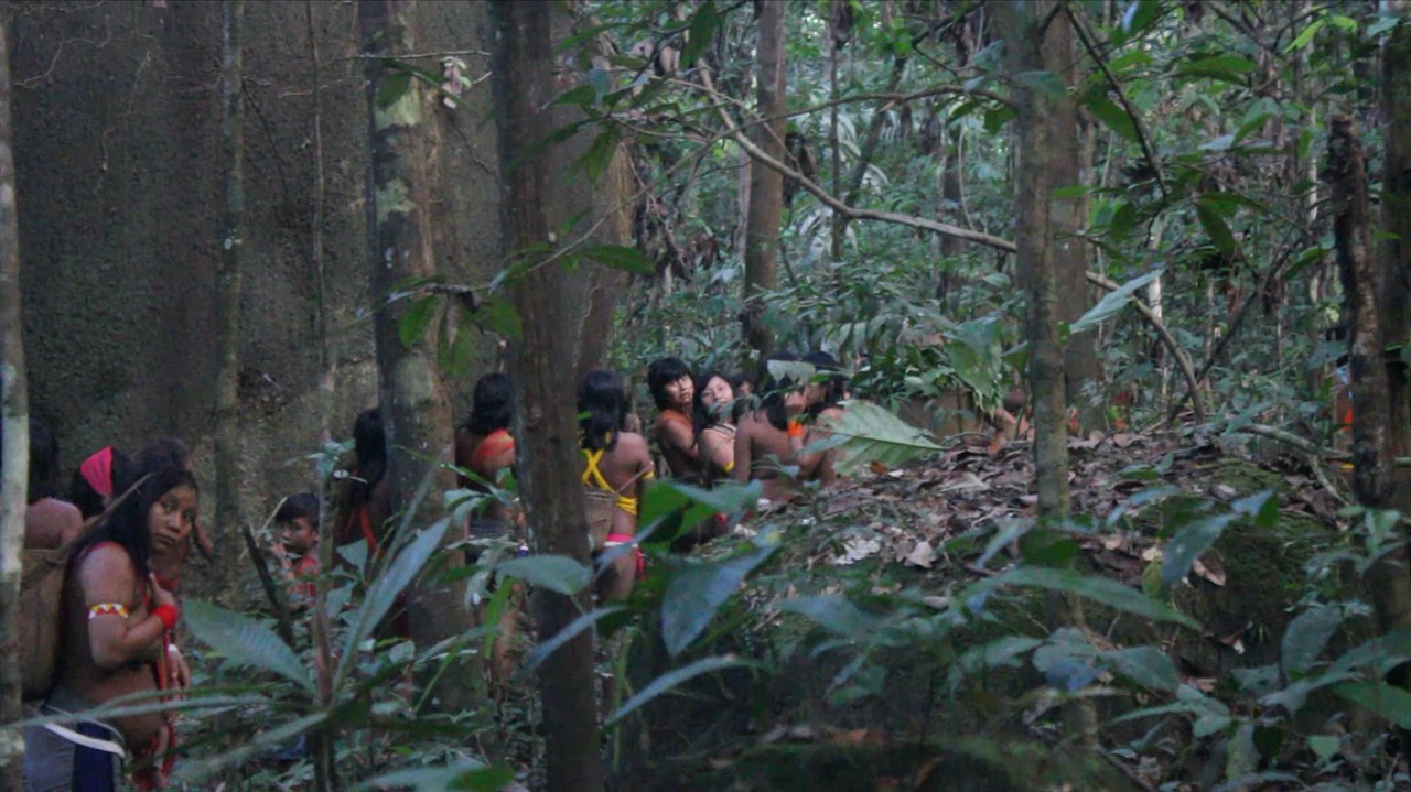 People walking through a forest