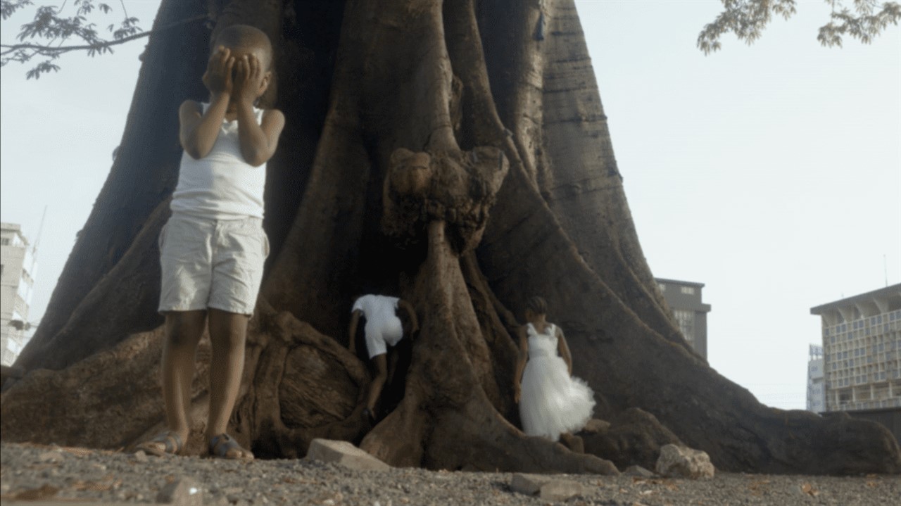 Children play at the base of a giant tree