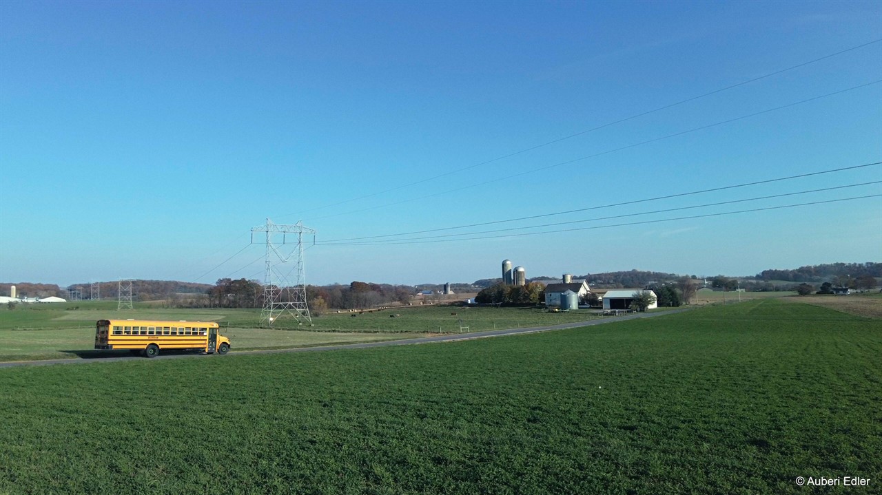 A school bus drives down a farm road