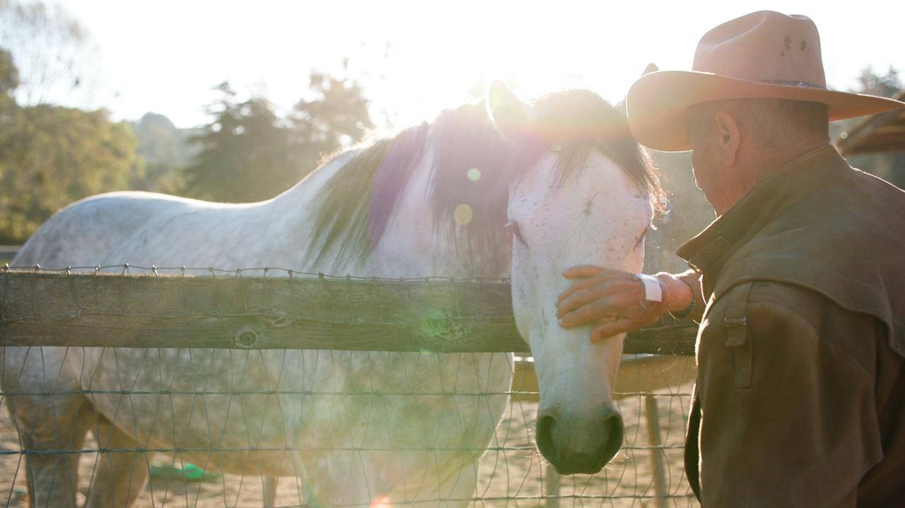 cowboy and horse